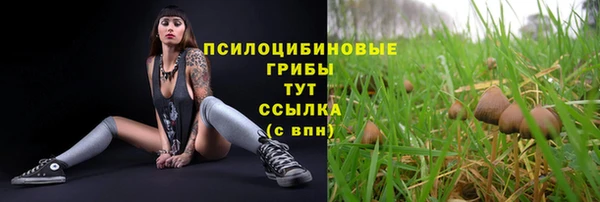 бошки Аркадак