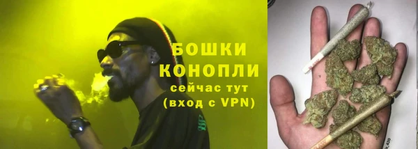 сатива Арсеньев