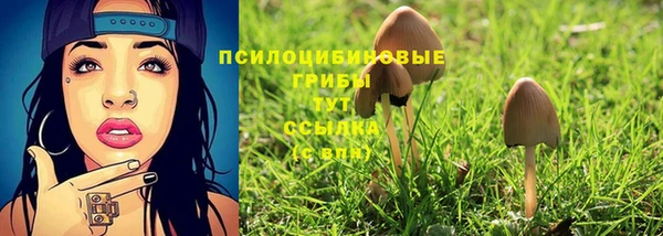 mix Армянск