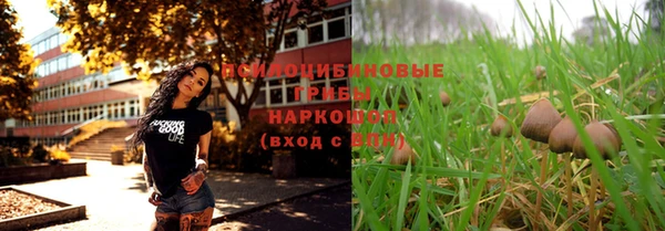 бошки Аркадак