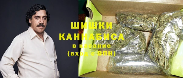 сатива Арсеньев