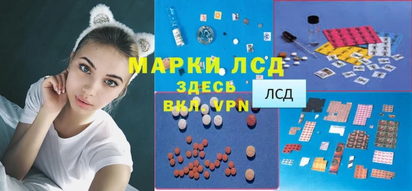 сатива Арсеньев
