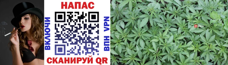 Канабис THC 21%  Себеж 